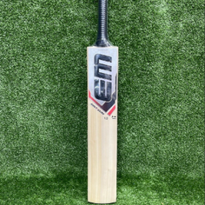 cricket bat